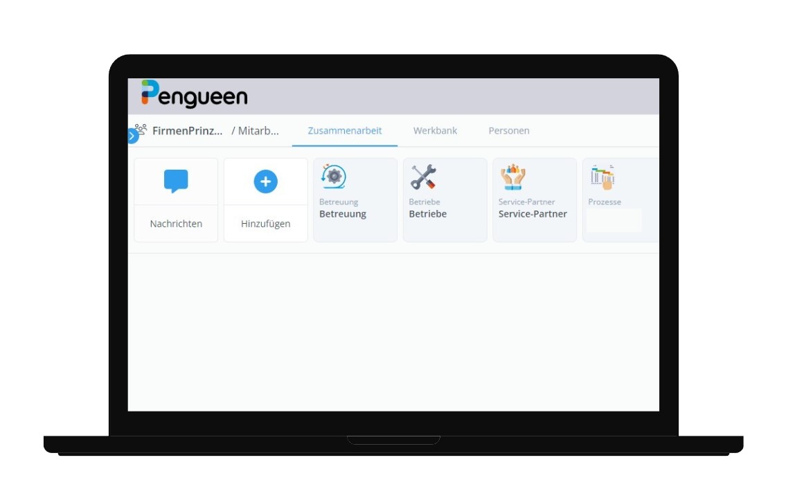 Bildschirmansicht der Vertriebstools der FirmenPrinzen in Pengueen: Betreuung, Betriebe, ServicePartner und Prozesse